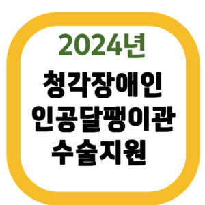 청각장애인 인공달팽이관 수술지원